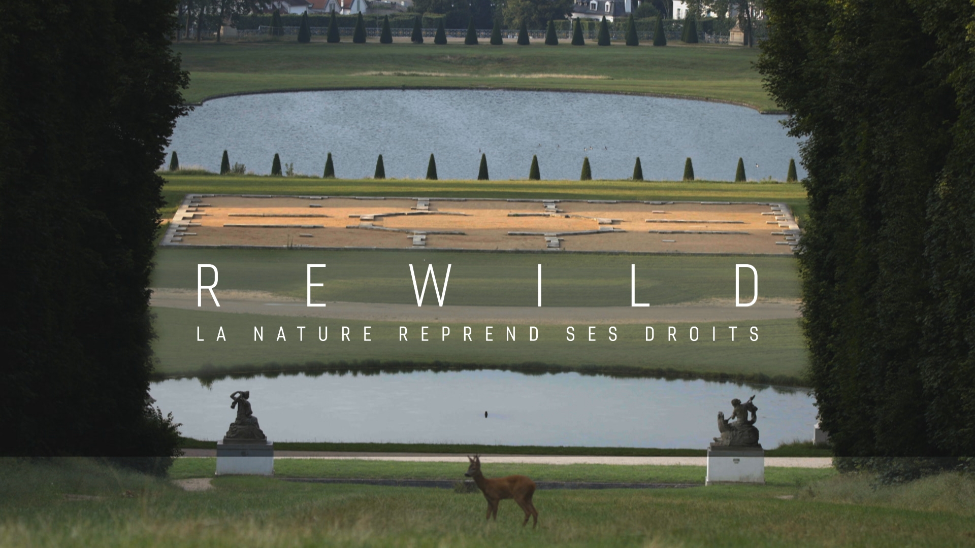 Affiche Rewild 